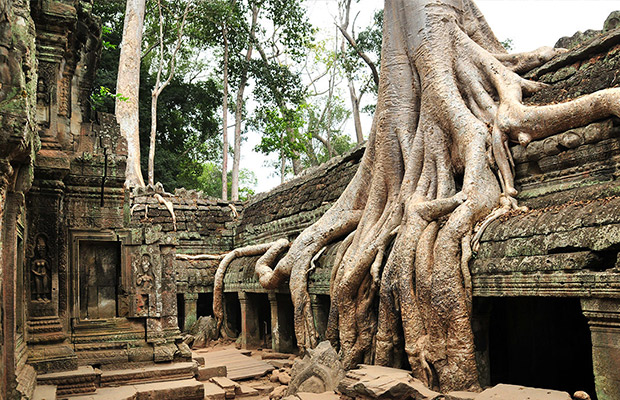 Ta Prohm Temple