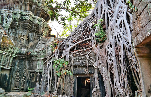 Best Angkor Temples Private Small-Group Tour