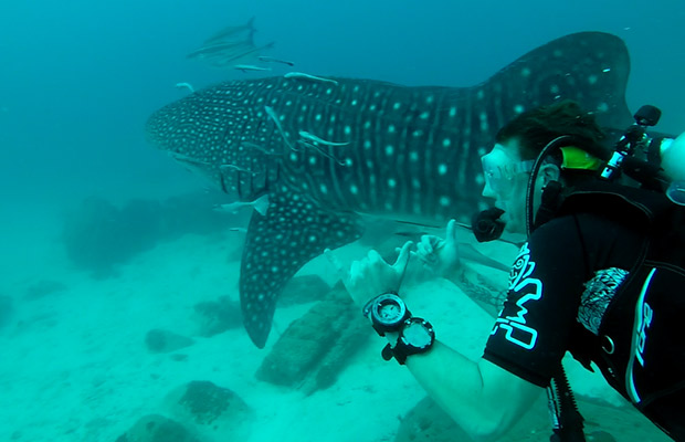 Snorkeling Tour at Koh Rong Samloem Island