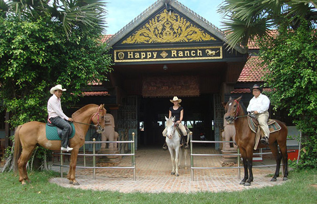 Happy Ranch Horse Farm