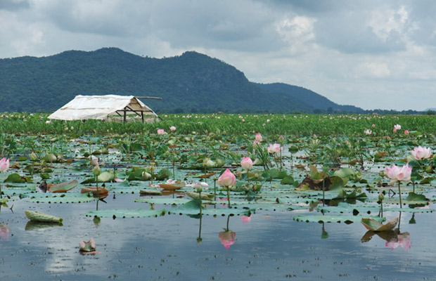 Kamping Puoy Lake